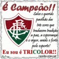 /album/galeria-de-fotos/fluminense-101205-1-1-gif/